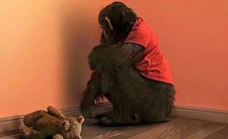 Primate Netflix Streaming