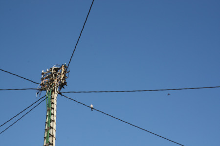 Pepenergy abrirá la contratación a no clientes de Pepephone el próximo lunes