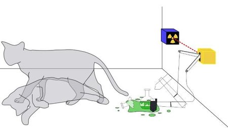 El gato de Schrödinger (I)