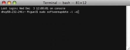 Truco: instala las actualizaciones de software desde el terminal