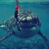 Reducir cargas administrativas, imprescindible mejorar la administración electrónica