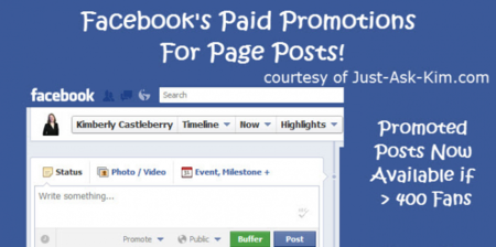 Facebook introduce los posts promovidos, infografía