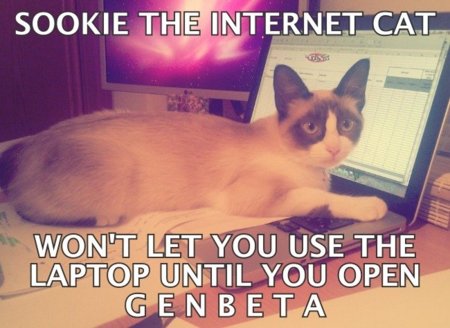 Internet is a series of blogs (LXXXII)