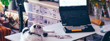 Un estudio psicológico descubre que mucha gente se aísla mucho al teletrabajar. Pero, aun así, tienen más calidad de vida