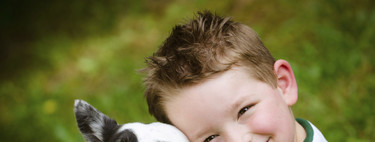 Por qué es bueno para la salud de los niños tener perros y gatos en casa