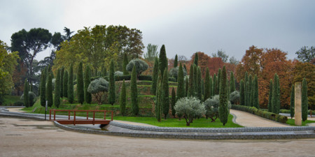 Bosque Recuerdo