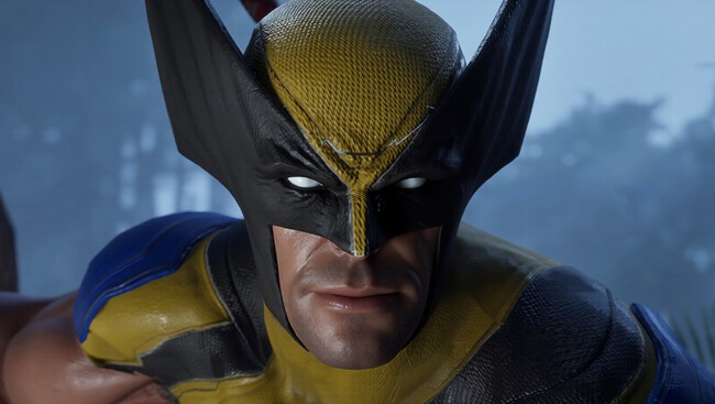 Wolverine Ninja Gaiden 2