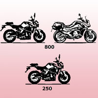 Gas Gas se vestirá de calle con tres nuevas motos: dos naked de 800 cc y 250 cc, y una touring de 800 cc