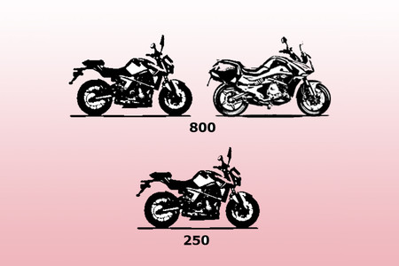 Gas Gas se vestirá de calle con tres nuevas motos: dos naked de 800 cc y 250 cc, y una touring de 800 cc