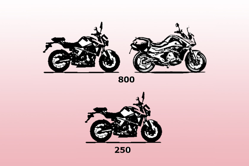 www.motorpasionmoto.com