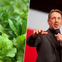 Larry Ellison quiso alimentar al mundo cultivando lechugas en su isla privada: las regó con 500 millones de dólares