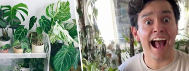 El consejo del experto en plantas André Alonso que muchos olvidan: si está bien en su maceta, mejor no tocarla 