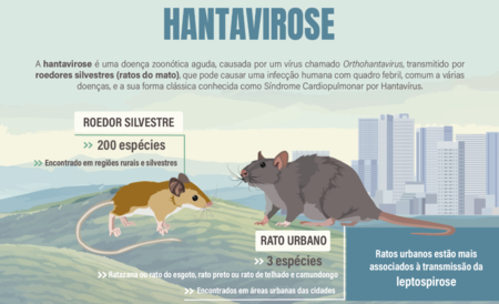 Hantavirus Agente