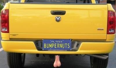Bumpernuts disponibles