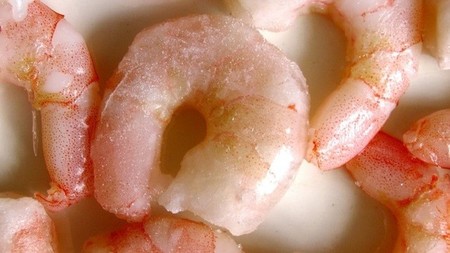 Plástico biodegradable a base de cáscara de gambas