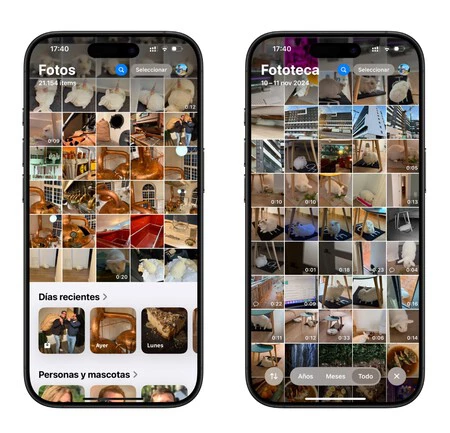 アップルの写真