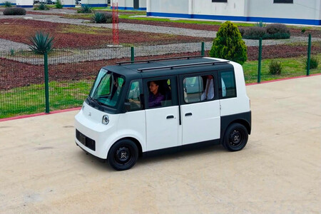 Olinia 2