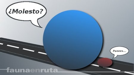 Zúrich, entorpeciéndole el paso... por su bien