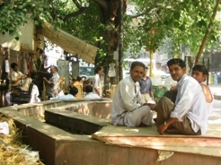 india delhi.JPG