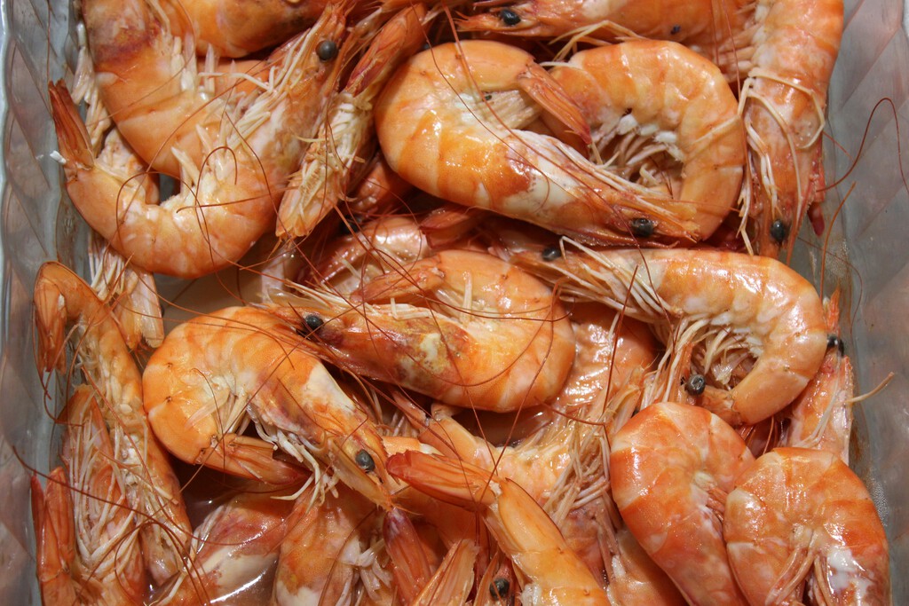 El consejo de pescador para elegir el mejor pescado y marisco en el supermercado: fíjate siempre en este detalle que nadie mira 