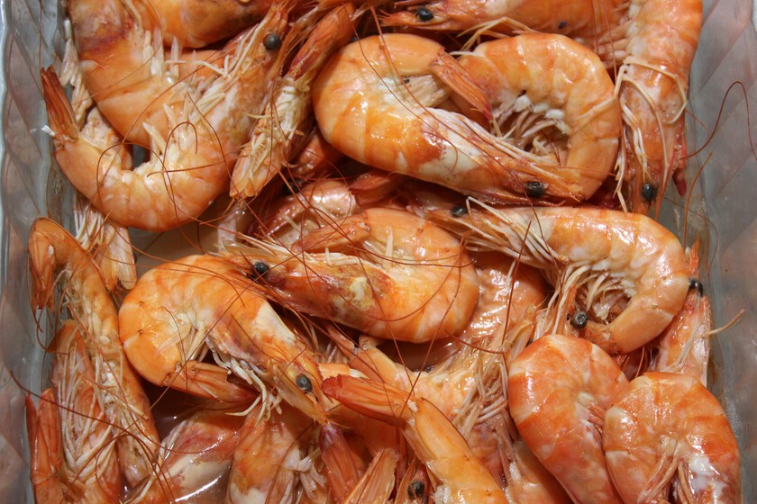 El consejo de pescador para elegir el mejor pescado y marisco en el supermercado: fíjate siempre en este detalle que nadie mira