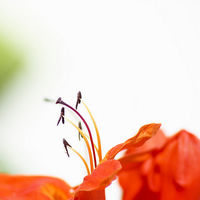 El logotipo de tu pyme también vende