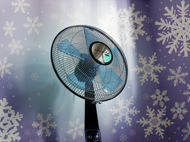 Frio