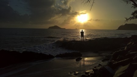 Un fotógrafo del National Geographic pone a prueba la cámara del Lumia 950