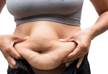 El sistema inmunitario también podría influir en la obesidad