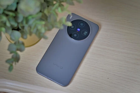 Vivo X300