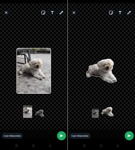 背景を削除するかどうかを選択できます