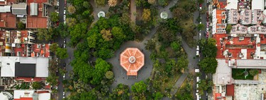 Tener árboles cerca de casa es vital para tu salud mental: esta es la cantidad que debes ver desde tu ventana