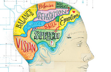 Tira los dados dodecaedros de tu personalidad: el neuroperfil (y II)