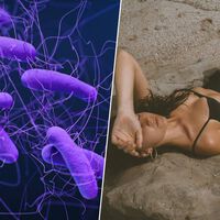 La próxima revolución en protección solar no es un filtro ni una nueva crema: es dar de "comer" a tus bacterias 