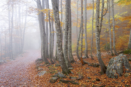 otoño