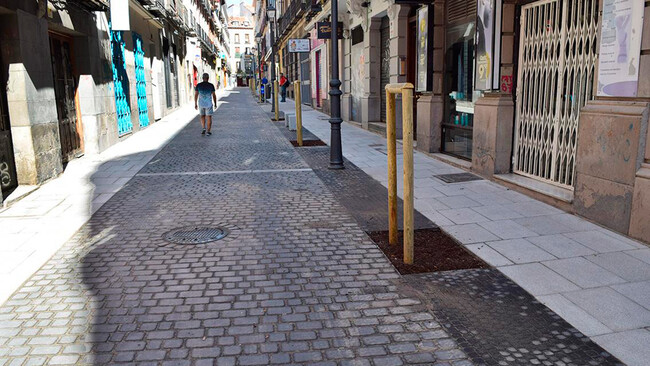 Calle Plataforma Unica Prioridad Total Peatones 01