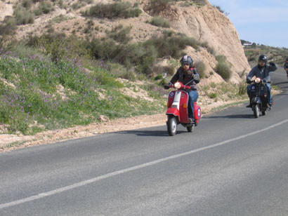 Pimentón 2007