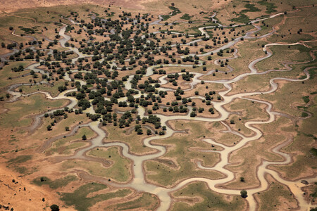 africa