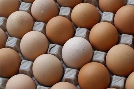 Algunos apuntes generales sobre el huevo