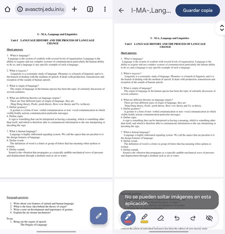 Chrome Pdf Visor