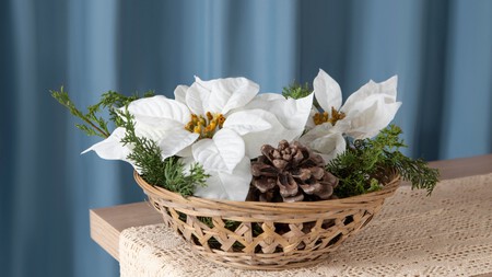 Nochebuena: por qué no debes usarla como ingrediente en tus platillos navideños