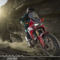 Tú elige un modelo, que Honda te pone fácil la compra con el Honda Plus