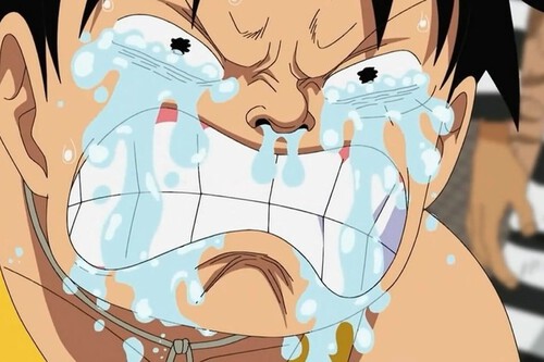 One Piece Anime Hiatus Malas Elbaph