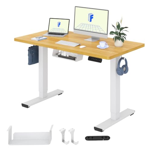 FLEXISPOT Escritorio Elevable Eléctrico 120x60cm, Mesa Escritorio Tablero Entero con Memoria, Sistema Anticolisión, para Oficina, Casa,Teletrabajo y Zona Compacta, Arce