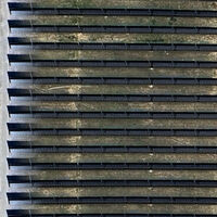 China ha convertido uno de los desiertos más áridos del mundo en verdes praderas de pastoreo. Y ha sido gracias a los paneles solares