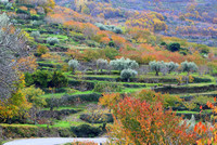 Recomendaciones para visitar el Valle del Jerte en otoño