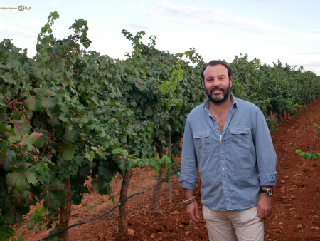 3.000 hectáreas, 21 tipos de viñas y un montón de marihuana: visitamos Pago Guijoso, “una de las fincas más punteras de Europa”