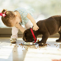 Tener un perro en casa mejora el desarrollo social y emocional de los niños