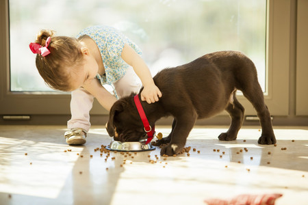 Tener un perro en casa mejora el desarrollo social y emocional de los niños menores de cinco años