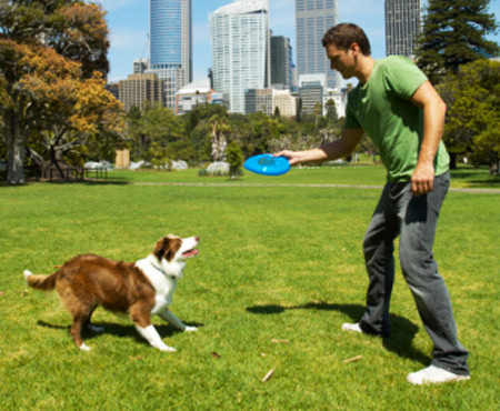 Paseando al perro por el lago 4